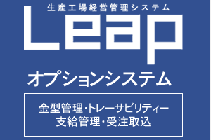 Leapオプションシステム